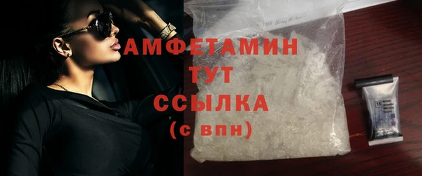 гашик Белокуриха
