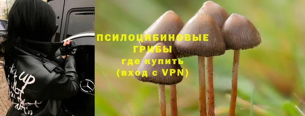 гашик Белокуриха