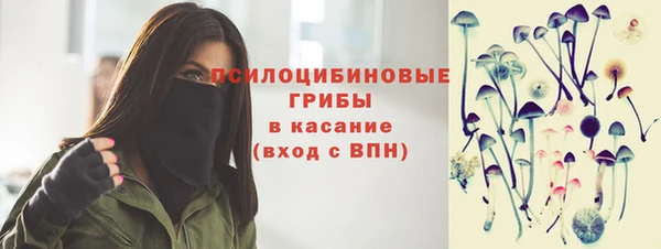 гашик Белокуриха