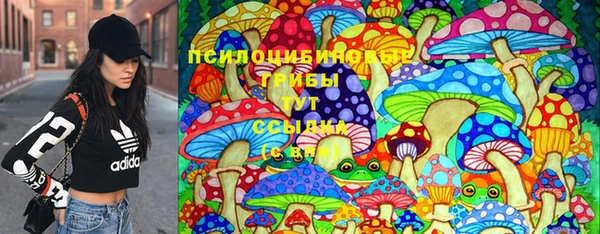 гашик Белокуриха