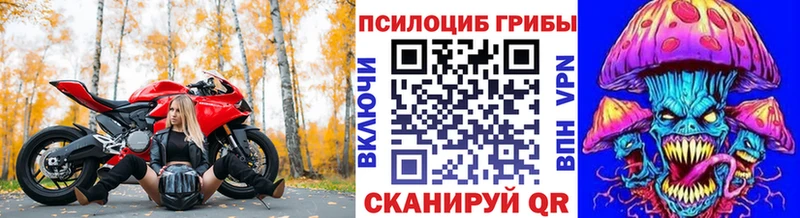 blacksprut ссылка Кондрово Псилоцибиновые грибы прущие грибы